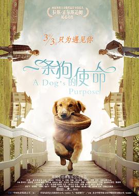 亚洲欧洲一区二区在线观看