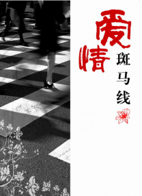 久久精品国产亚洲网址