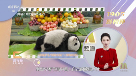 国产午夜视频在线观看